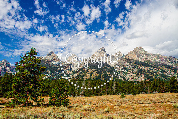Teton