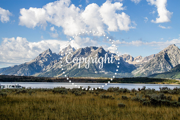 Teton