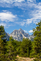 Teton
