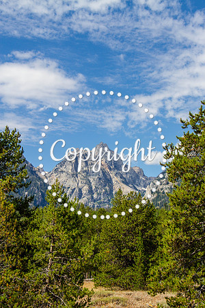 Teton