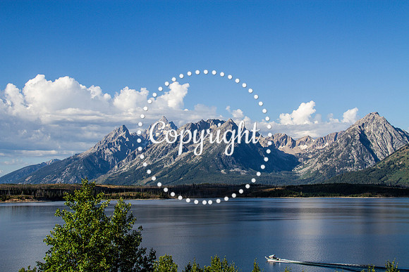 Teton