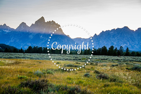 Teton