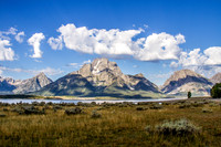 Teton