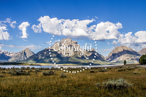 Teton