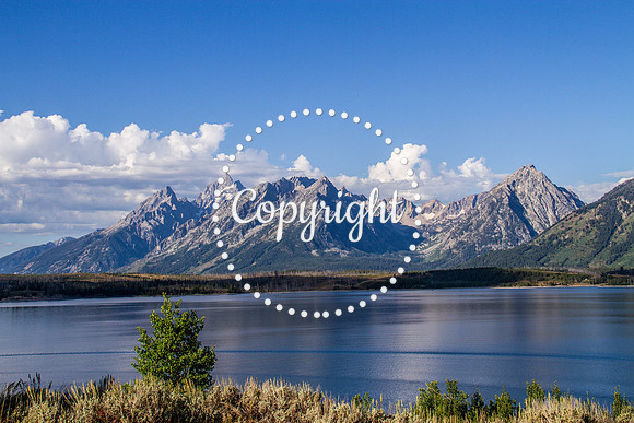 Teton