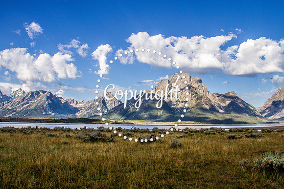 Teton