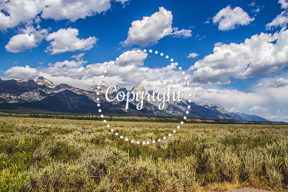 Teton