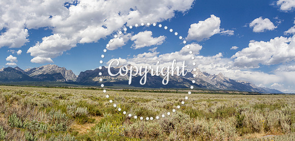 Teton