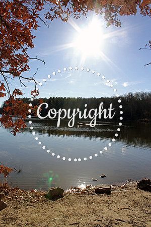 Raleigh in Fall