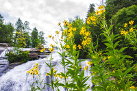 Western NC Waterfalls