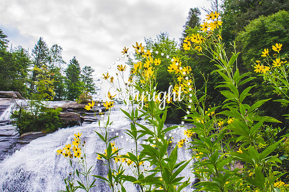 Western NC Waterfalls