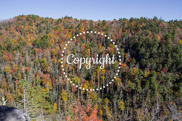 Western NC in Fall