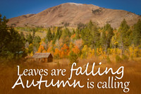 autumn2 copy