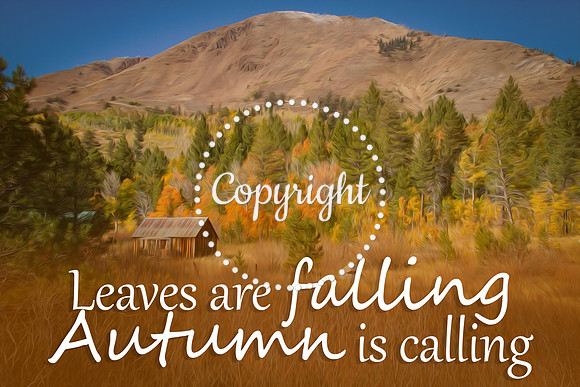 autumn2 copy