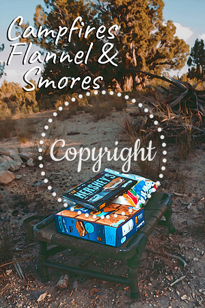smores2 copy