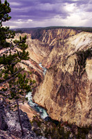 Yellowstone