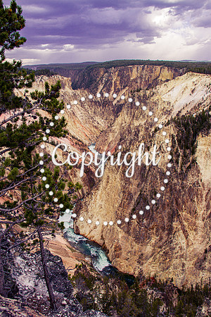 Yellowstone