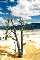 Yellowstone