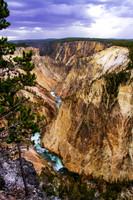 Yellowstone