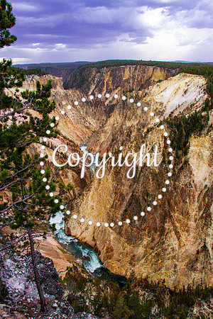 Yellowstone