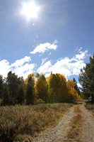 Sierra NV Mnts