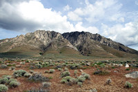 Northern NV
