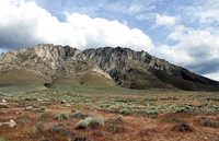 Northern NV