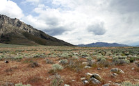 Northern NV