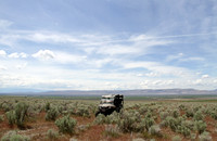 Northern NV