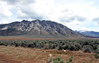 Northern NV