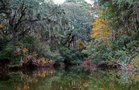 Hilton Head