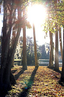 Hilton Head
