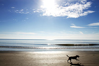 Hilton Head