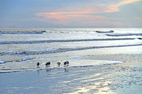 Hilton Head