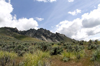 Home is Nevada