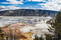 Mammoth Springs