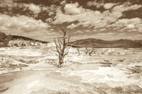 Mammoth Springs