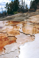 Mammoth Springs
