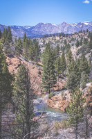 Eastern Sierra